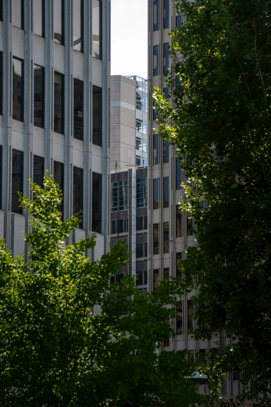 Innovation Hub