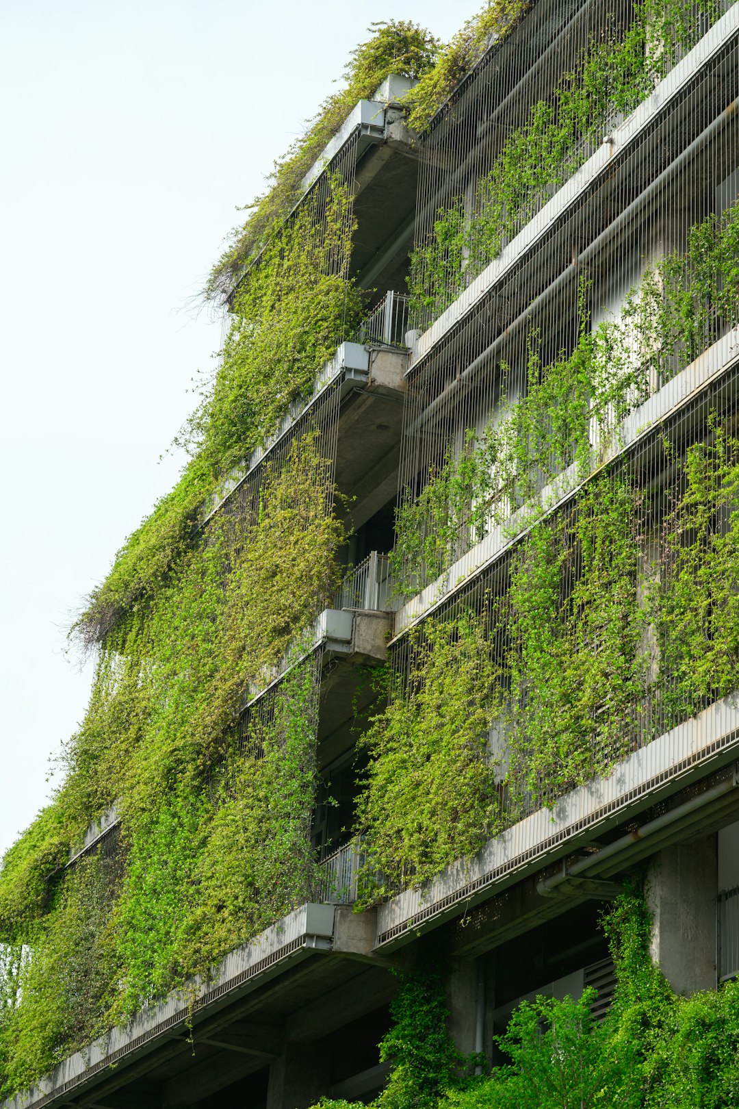 EcoQuantum Home